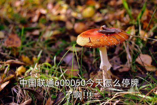  中國聯(lián)通600050今天怎么停牌了啊!!!