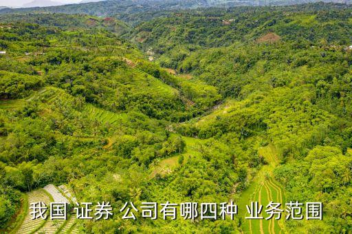 我國(guó) 證券 公司有哪四種 業(yè)務(wù)范圍