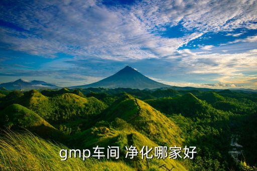 gmp車(chē)間 凈化哪家好