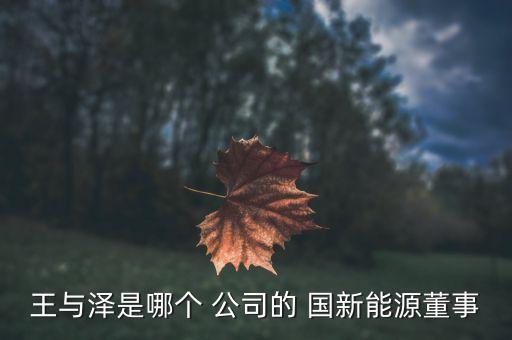 王與澤是哪個(gè) 公司的 國(guó)新能源董事