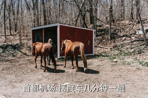 首都機(jī)場(chǎng) 擺渡車(chē)幾分鐘一趟