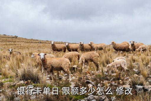 銀行卡單日 限額多少怎么 修改