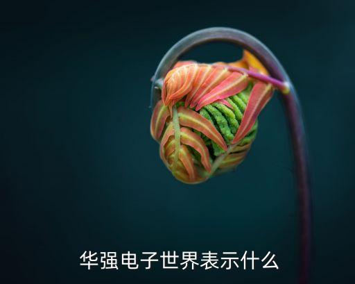  華強電子世界表示什么