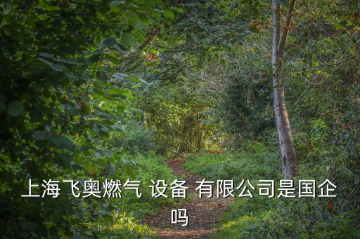 上海飛奧燃?xì)?設(shè)備 有限公司是國企嗎