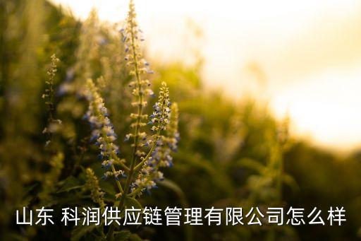 山東 科潤供應(yīng)鏈管理有限公司怎么樣