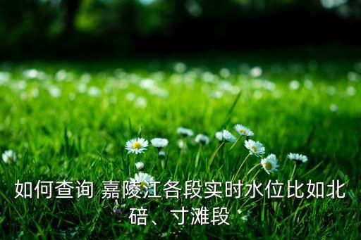 如何查詢 嘉陵江各段實(shí)時(shí)水位比如北碚、寸灘段