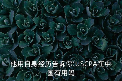 他用自身經(jīng)歷告訴你:USCPA在中國(guó)有用嗎