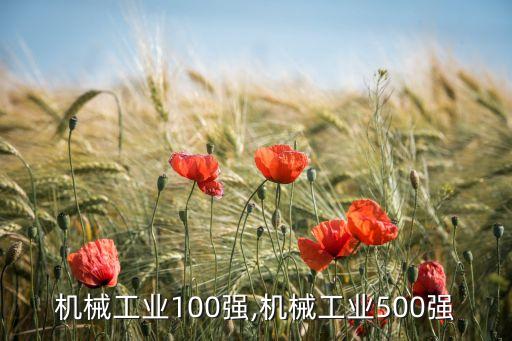 中國機(jī)械工業(yè)100強(qiáng),機(jī)械工業(yè)500強(qiáng)