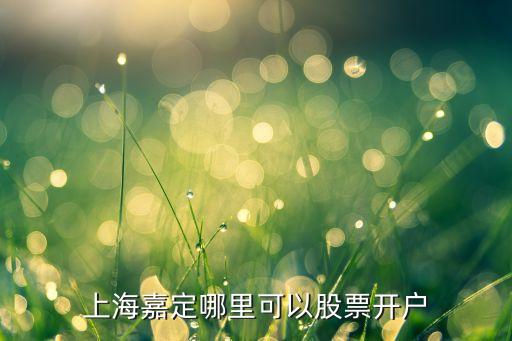 上海嘉定哪里可以股票開戶