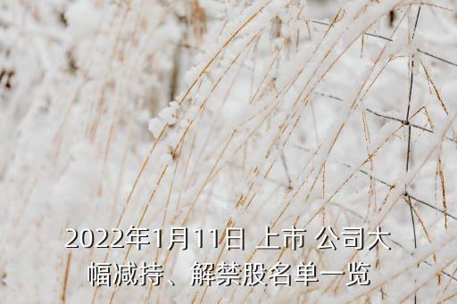 2022年1月11日 上市 公司大幅減持、解禁股名單一覽