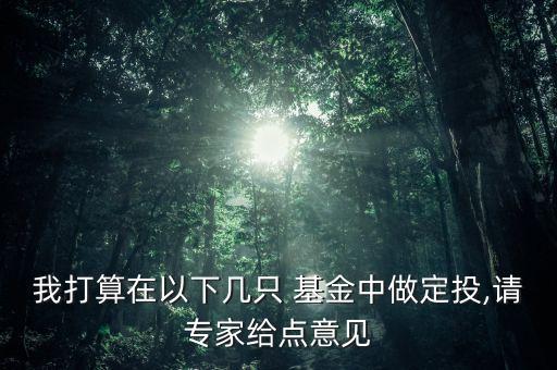 我打算在以下幾只 基金中做定投,請(qǐng)專家給點(diǎn)意見(jiàn)