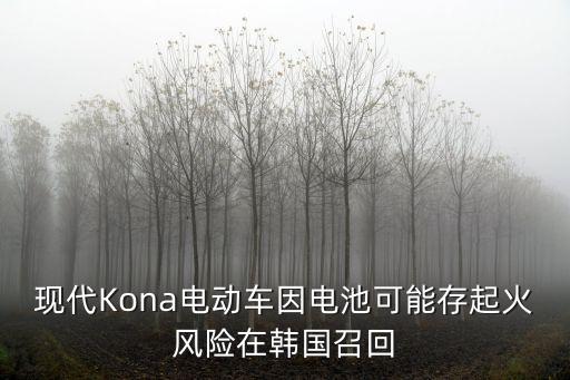 現(xiàn)代Kona電動車因電池可能存起火風險在韓國召回