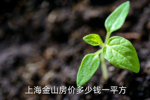  上海金山房價多少錢一平方