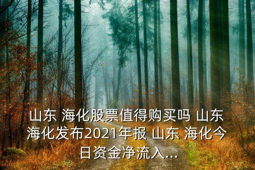  山東 ?；善敝档觅徺I嗎 山東 海化發(fā)布2021年報(bào) 山東 ?；袢召Y金凈流入...