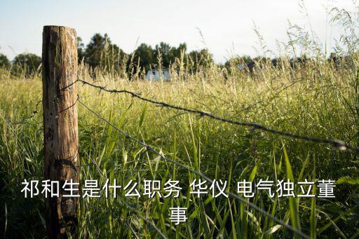 祁和生是什么職務(wù) 華儀 電氣獨(dú)立董事