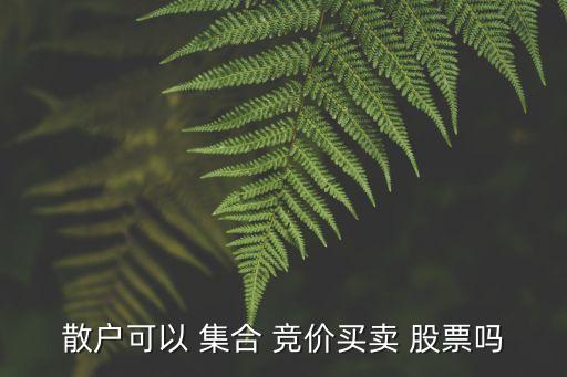 散戶可以 集合 競價買賣 股票嗎