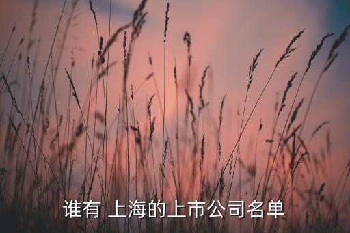 誰(shuí)有 上海的上市公司名單