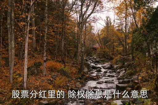  股票分紅里的 除權除息是什么意思