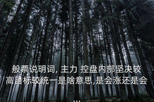 美好集團主力控盤,龍佰集團主力控盤情況