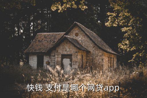 快錢(qián) 支付是哪個(gè)網(wǎng)貸app