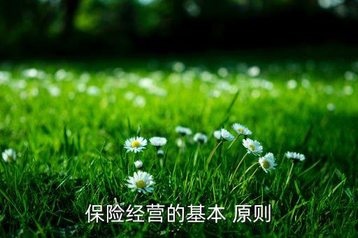 保險(xiǎn)投資的原則不包括,簡(jiǎn)述保險(xiǎn)投資的原則