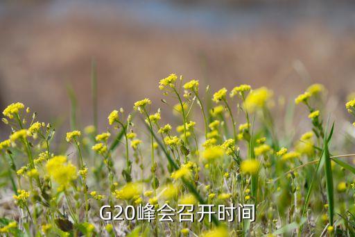 G20峰會(huì)召開(kāi)時(shí)間