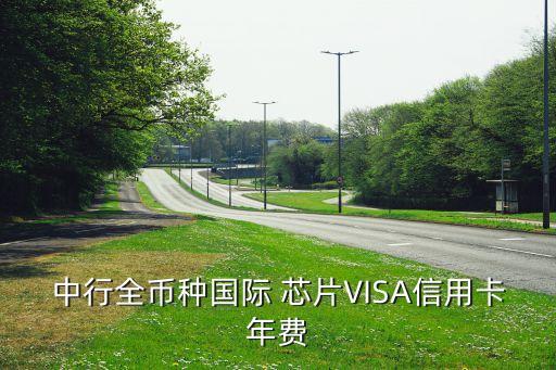 中行全幣種國際 芯片VISA信用卡年費