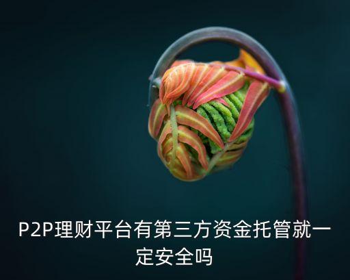 P2P理財(cái)平臺(tái)有第三方資金托管就一定安全嗎