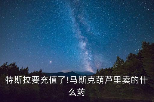 推特中國市場(chǎng)占有率,高特BMS市場(chǎng)占有率