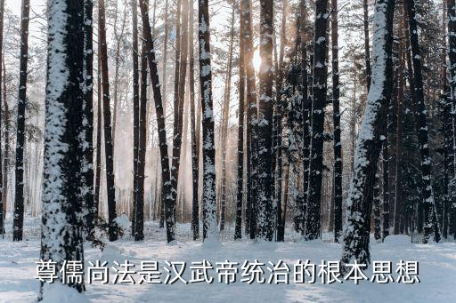 中國為什么不能嚴(yán)刑峻法,為什么漢謨拉比法典是嚴(yán)刑峻法