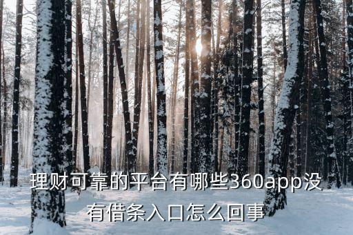 理財可靠的平臺有哪些360app沒有借條入口怎么回事