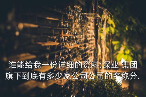 誰能給我一份詳細(xì)的資料:深業(yè) 集團(tuán)旗下到底有多少家公司公司的名稱分...