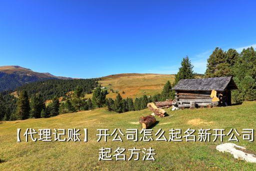 上海炯睿貿(mào)易有限公司,上海睿岸貿(mào)易有限公司怎么樣