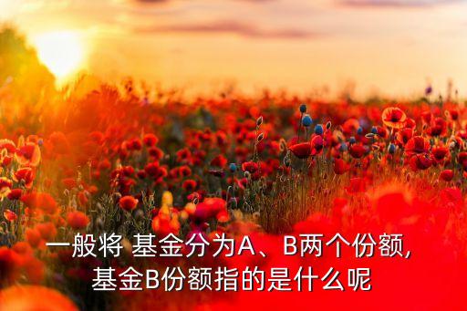 一般將 基金分為A、B兩個(gè)份額, 基金B(yǎng)份額指的是什么呢