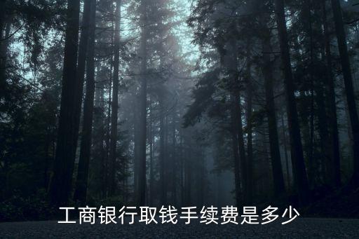 工商銀行取錢手續(xù)費(fèi)是多少