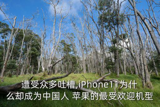 遭受眾多吐槽,iPhone11為什么卻成為中國(guó)人 蘋果的最受歡迎機(jī)型