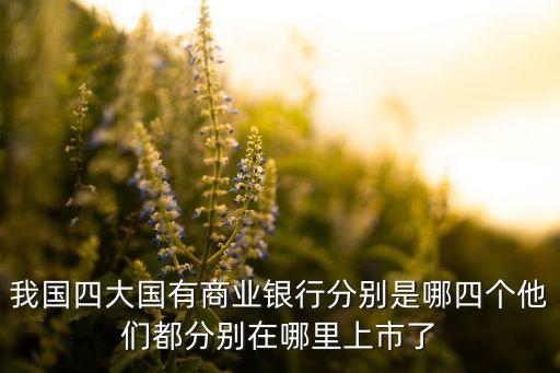 我國四大國有商業(yè)銀行分別是哪四個他們都分別在哪里上市了