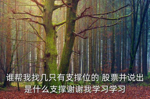 誰幫我找?guī)字挥兄挝坏?股票并說出是什么支撐謝謝我學(xué)習(xí)學(xué)習(xí)