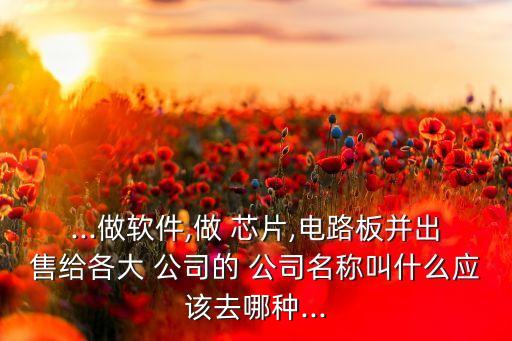 ...做軟件,做 芯片,電路板并出售給各大 公司的 公司名稱叫什么應(yīng)該去哪種...