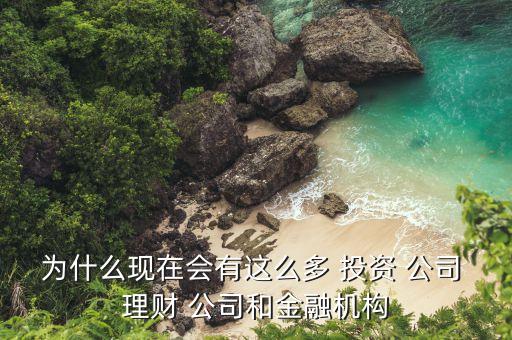 投資理財(cái)公司流失率很高嗎