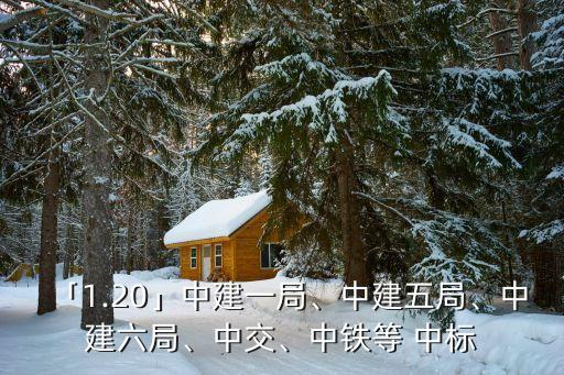 「1.20」中建一局、中建五局、中建六局、中交、中鐵等 中標(biāo)