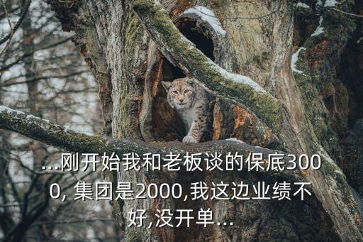 ...剛開始我和老板談的保底3000, 集團(tuán)是2000,我這邊業(yè)績不好,沒開單...