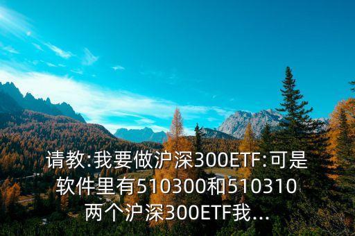 請教:我要做滬深300ETF:可是軟件里有510300和510310兩個滬深300ETF我...