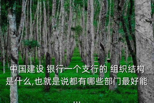 中國(guó)建設(shè) 銀行一個(gè)支行的 組織結(jié)構(gòu)是什么,也就是說(shuō)都有哪些部門(mén)最好能...