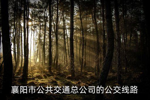 襄陽(yáng)市公共交通總公司的公交線路