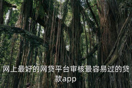 網(wǎng)上最好的網(wǎng)貸平臺(tái)審核最容易過(guò)的貸款app