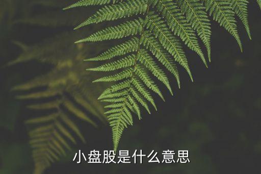  小盤股是什么意思