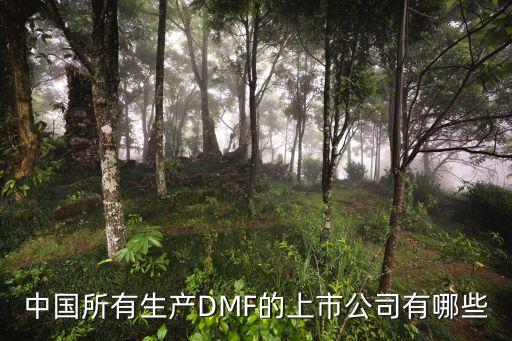 中國所有生產(chǎn)DMF的上市公司有哪些