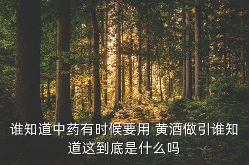 誰知道中藥有時(shí)候要用 黃酒做引誰知道這到底是什么嗎