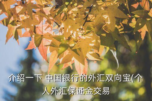 介紹一下 中國銀行的外匯雙向?qū)?個(gè)人外匯保證金交易